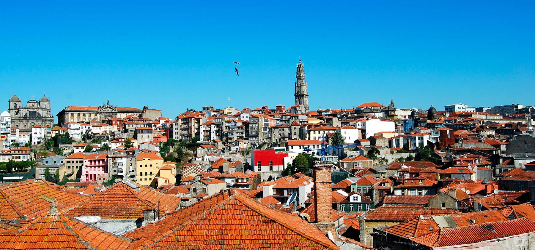 immagine per 15 – Tour Portogallo autentico - da Porto